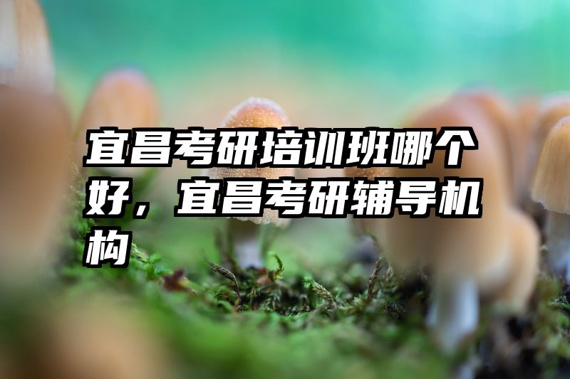 宜昌考研培训班哪个好，宜昌考研辅导机构