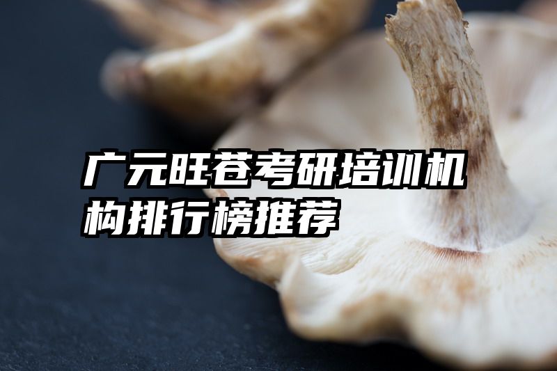 广元旺苍考研培训机构排行榜推荐