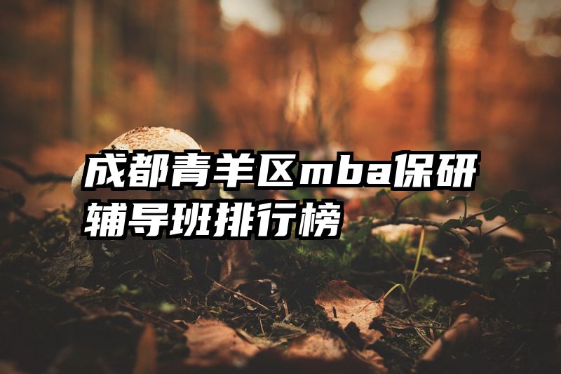成都青羊区mba保研辅导班排行榜