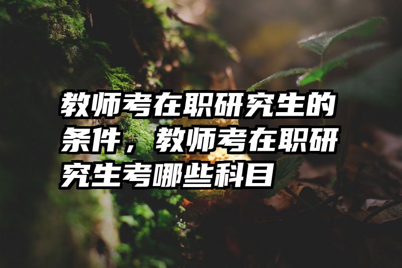 教师考在职研究生的条件,教师考在职研究生考哪些科目