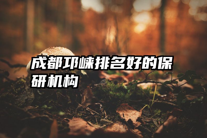 成都邛崃排名好的保研机构