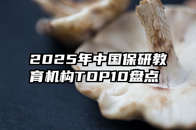 2025年中国保研教育机构TOP10盘点