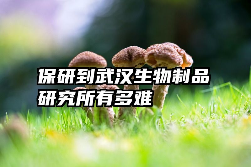 保研到武汉生物制品研究所有多难