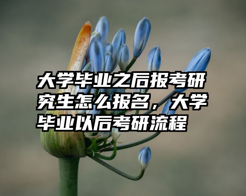 大学毕业之后报考研究生怎么报名，大学毕业以后考研流程