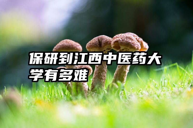 保研到江西中医药大学有多难