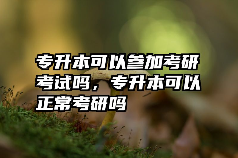 专升本可以参加考研考试吗，专升本可以正常考研吗