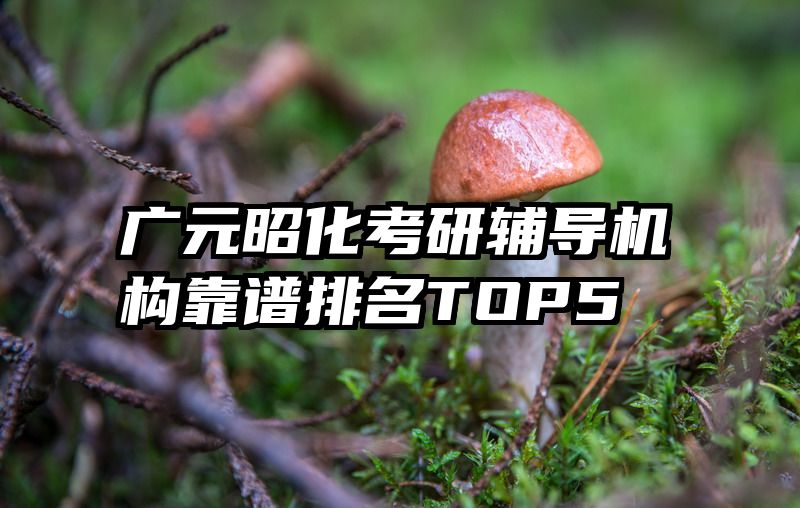 广元昭化考研辅导机构靠谱排名TOP5