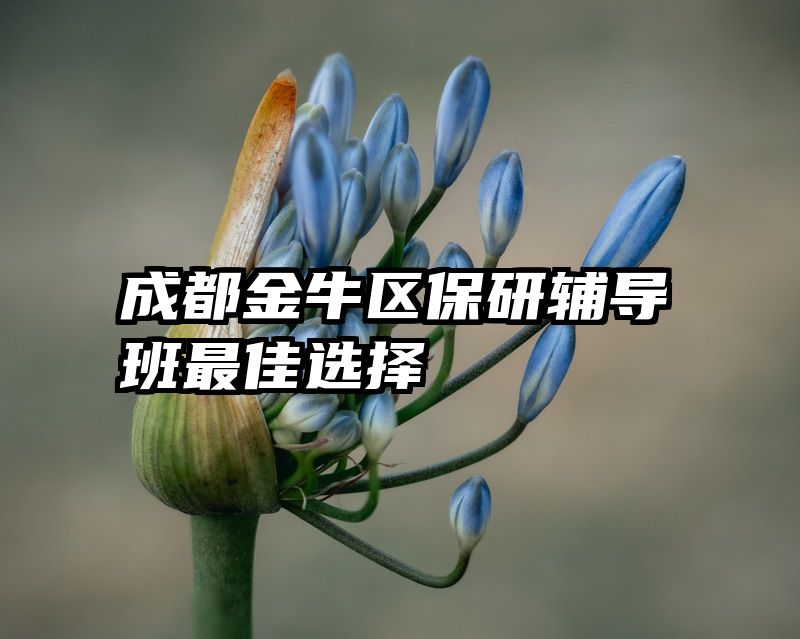 成都金牛区保研辅导班最佳选择