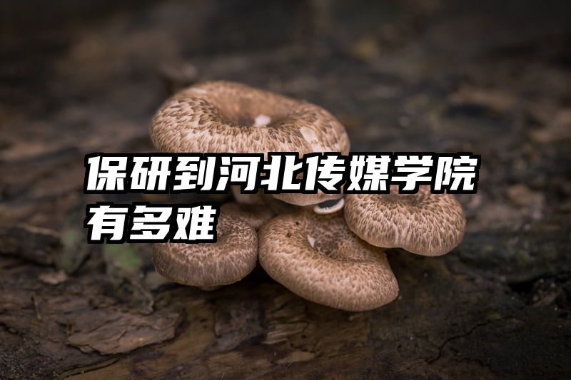 保研到河北传媒学院有多难