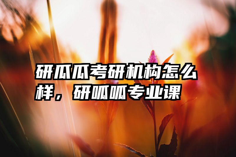 研瓜瓜考研机构怎么样,研呱呱专业课