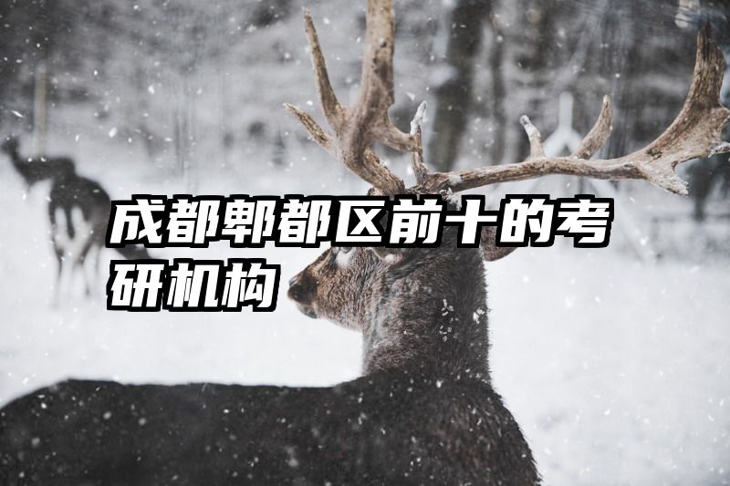 成都郫都区前十的考研机构