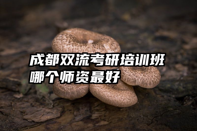 成都双流考研培训班哪个师资最好