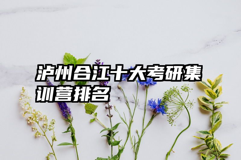 泸州合江十大考研集训营排名