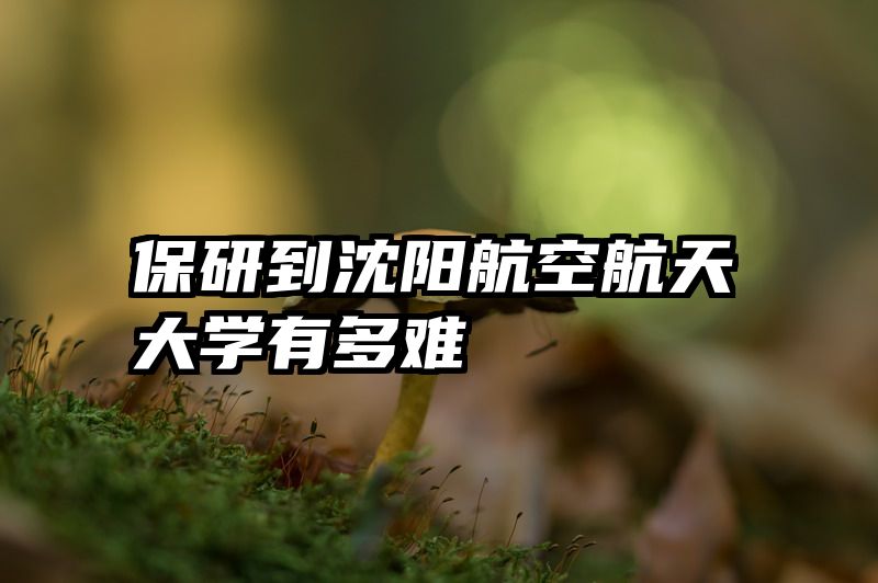 保研到沈阳航空航天大学有多难