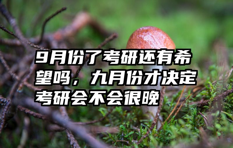 9月份了考研还有希望吗,九月份才决定考研会不会很晚
