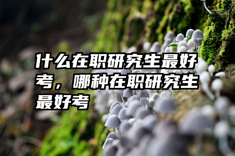 什么在职研究生最好考，哪种在职研究生最好考
