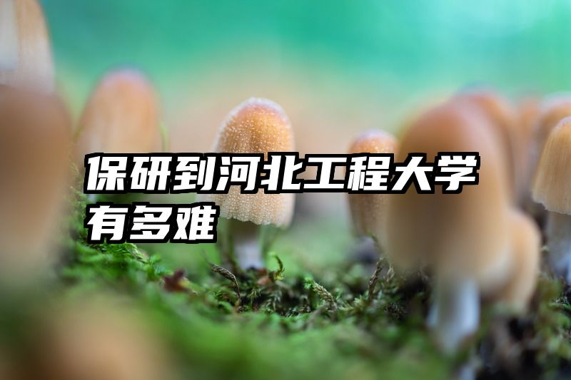 保研到河北工程大学有多难