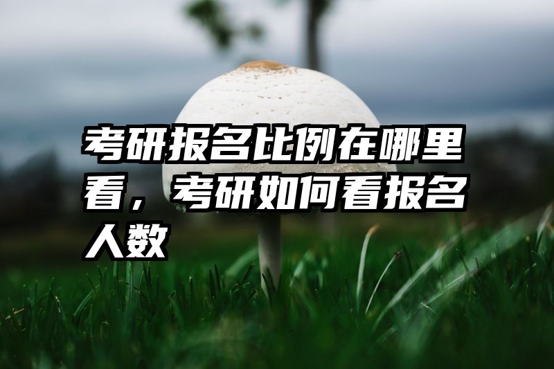 考研报名比例在哪里看,考研如何看报名人数