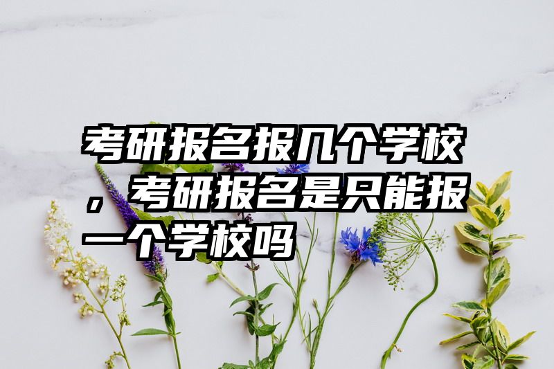 考研报名报几个学校,考研报名是只能报一个学校吗