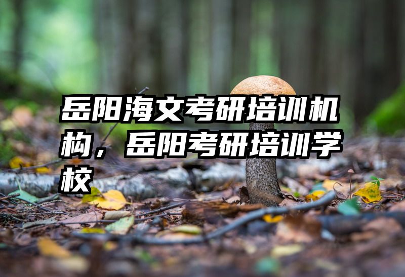 岳阳海文考研培训机构，岳阳考研培训学校