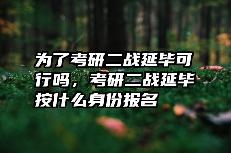 为了考研二战延毕可行吗，考研二战延毕按什么身份报名