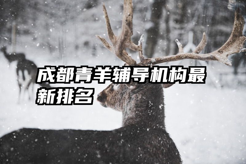 成都青羊辅导机构最新排名