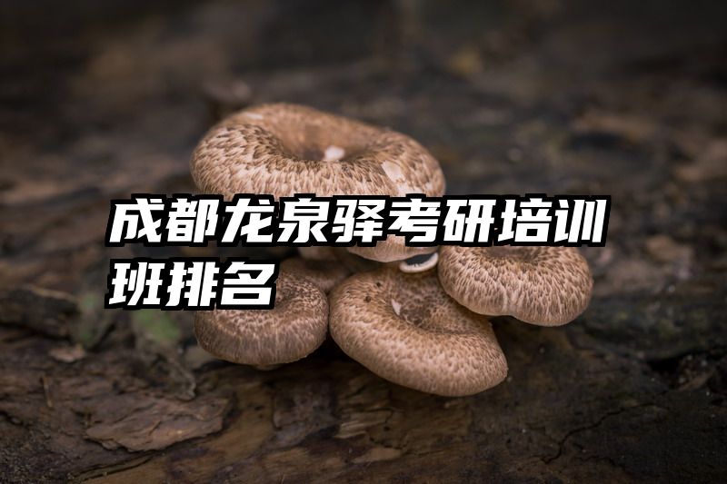 成都龙泉驿考研培训班排名