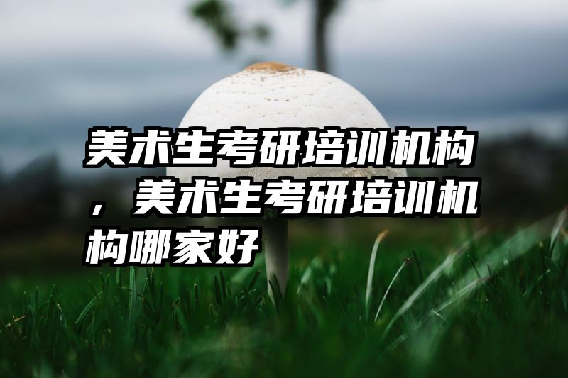 美术生考研培训机构，美术生考研培训机构哪家好