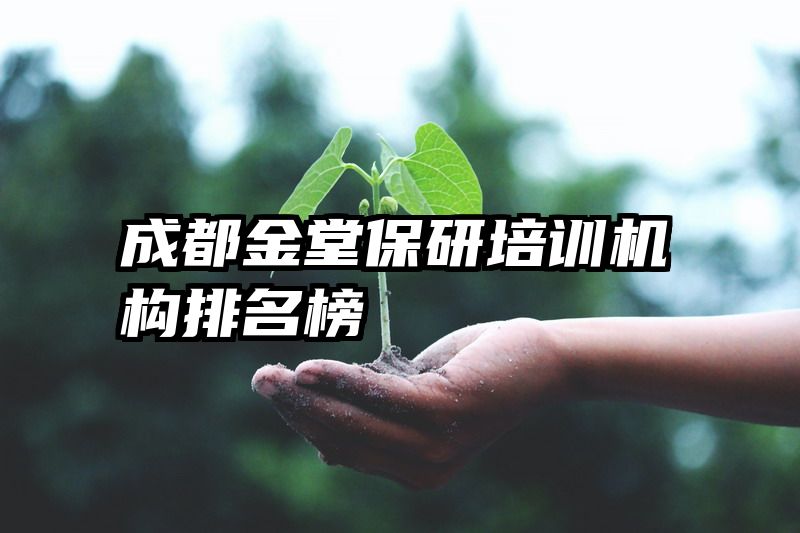 成都金堂保研培训机构排名榜