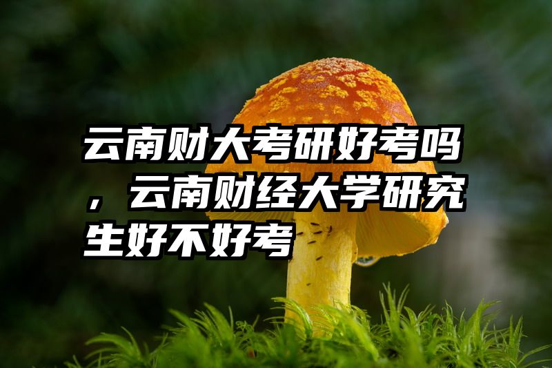 云南财大考研好考吗，云南财经大学研究生好不好考