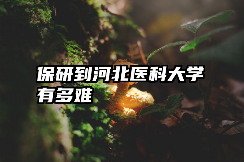保研到河北医科大学有多难