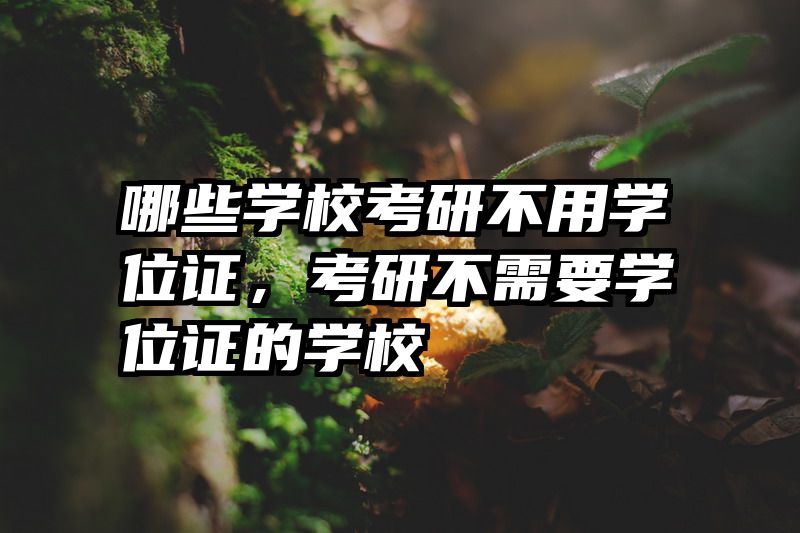 哪些学校考研不用学位证,考研不需要学位证的学校