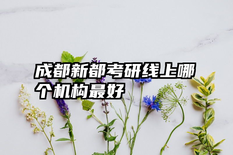 成都新都考研线上哪个机构最好