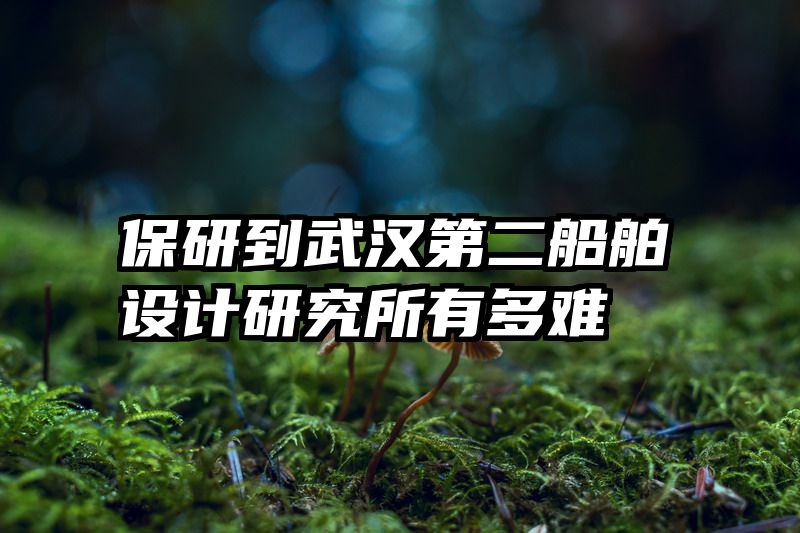 保研到武汉第二船舶设计研究所有多难