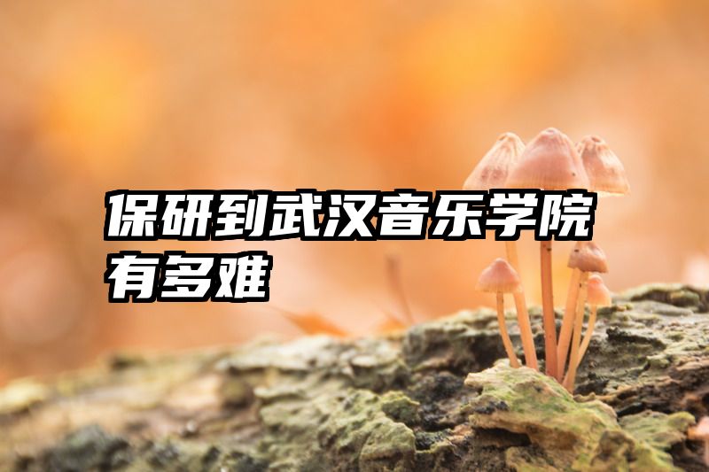 保研到武汉音乐学院有多难