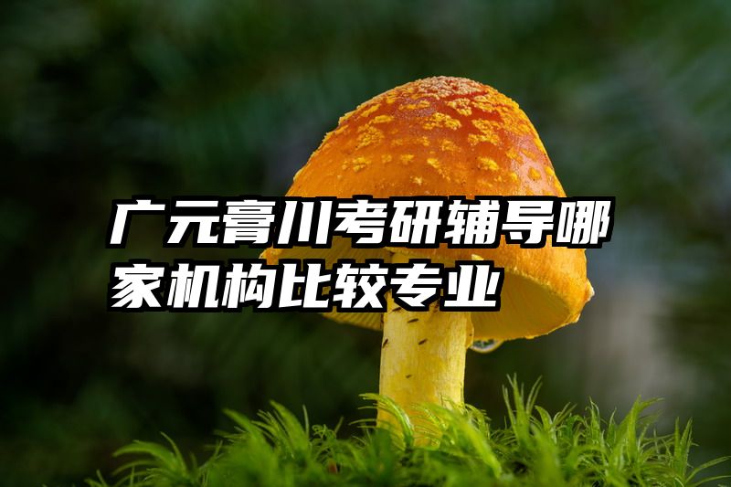 广元膏川考研辅导哪家机构比较专业
