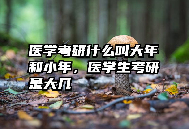 医学考研什么叫大年和小年,医学生考研是大几