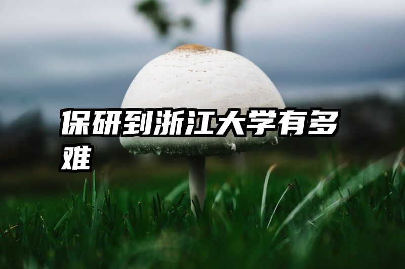 保研到浙江大学有多难