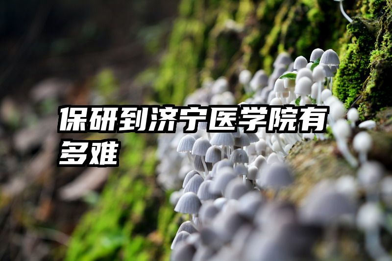 保研到济宁医学院有多难