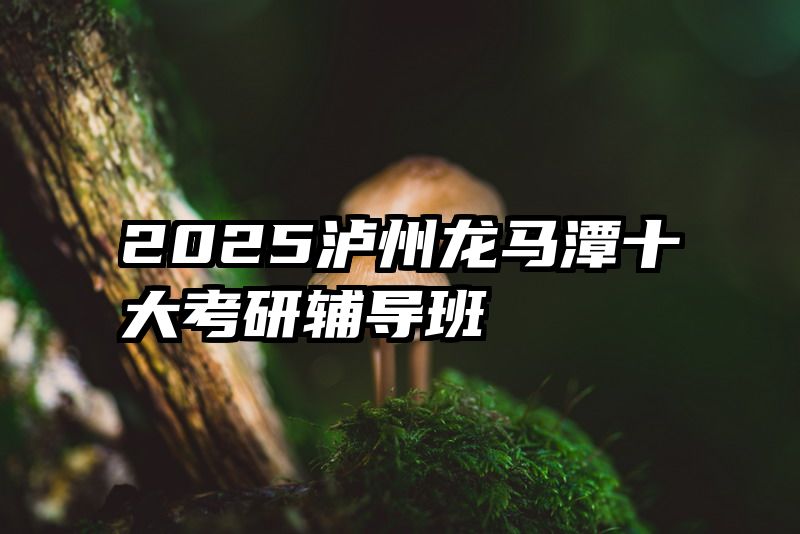 2025泸州龙马潭十大考研辅导班
