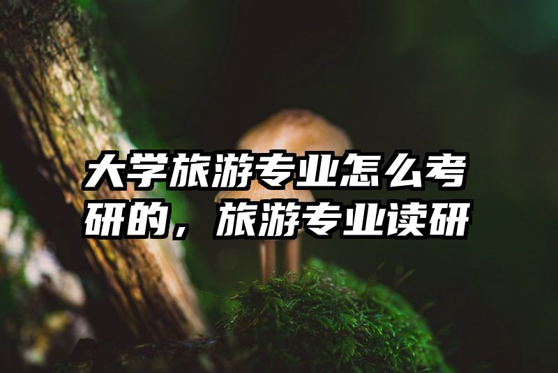 大学旅游专业怎么考研的，旅游专业读研
