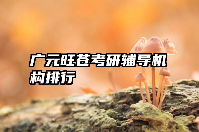 广元旺苍考研辅导机构排行