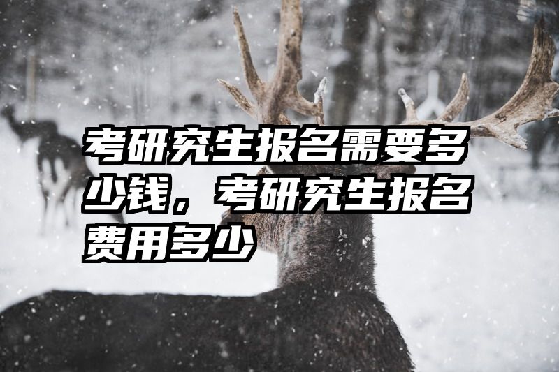 考研究生报名需要多少钱，考研究生报名费用多少