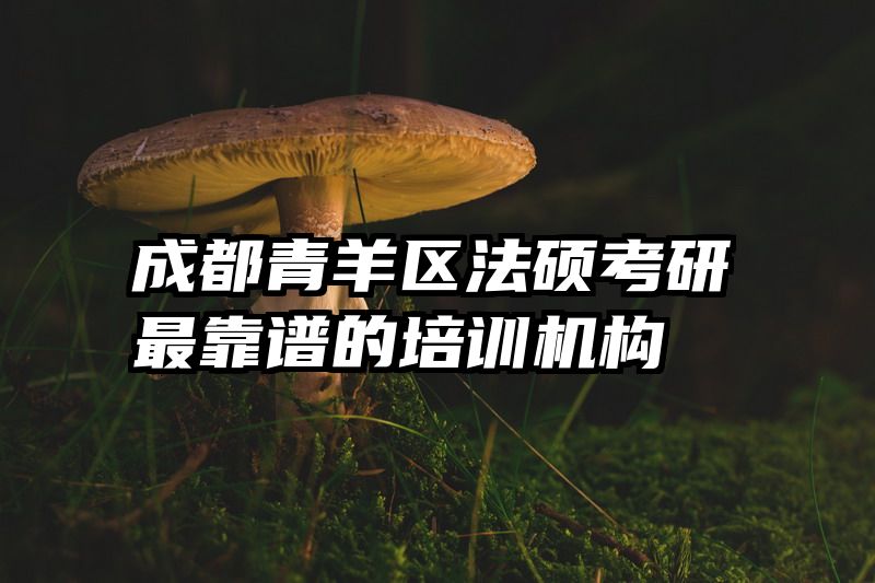 成都青羊区法硕考研最靠谱的培训机构