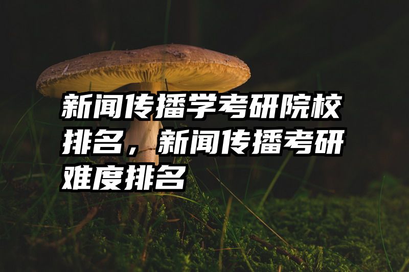 新闻传播学考研院校排名，新闻传播考研难度排名