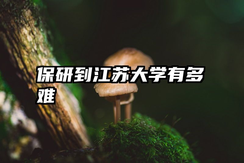 保研到江苏大学有多难