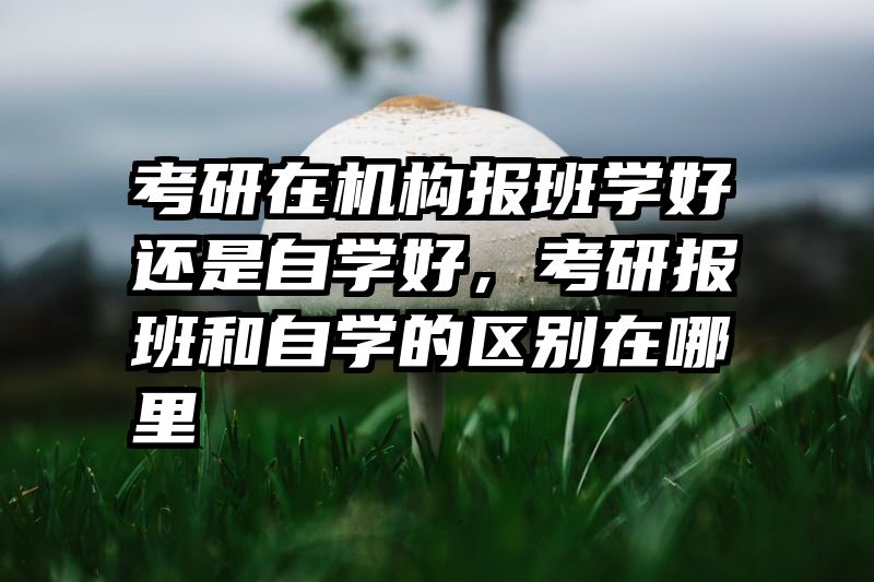 考研在机构报班学好还是自学好,考研报班和自学的区别在哪里