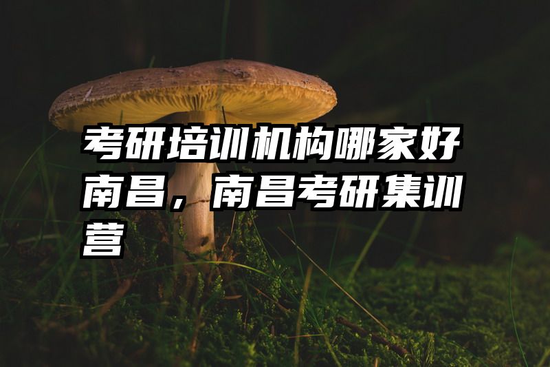 考研培训机构哪家好南昌，南昌考研集训营