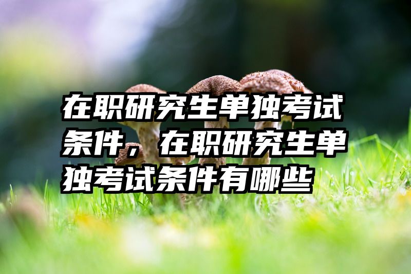 在职研究生单独考试条件，在职研究生单独考试条件有哪些
