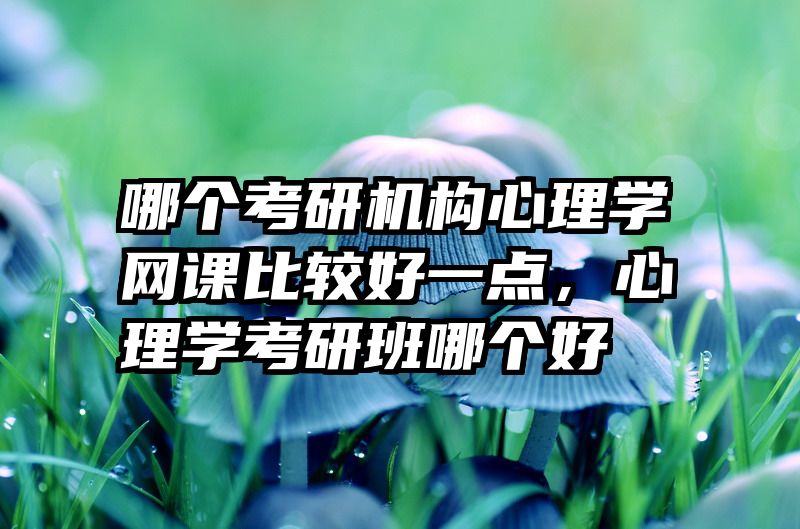 哪个考研机构心理学网课比较好一点，心理学考研班哪个好